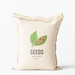 Decorticated Cardamom Seeds